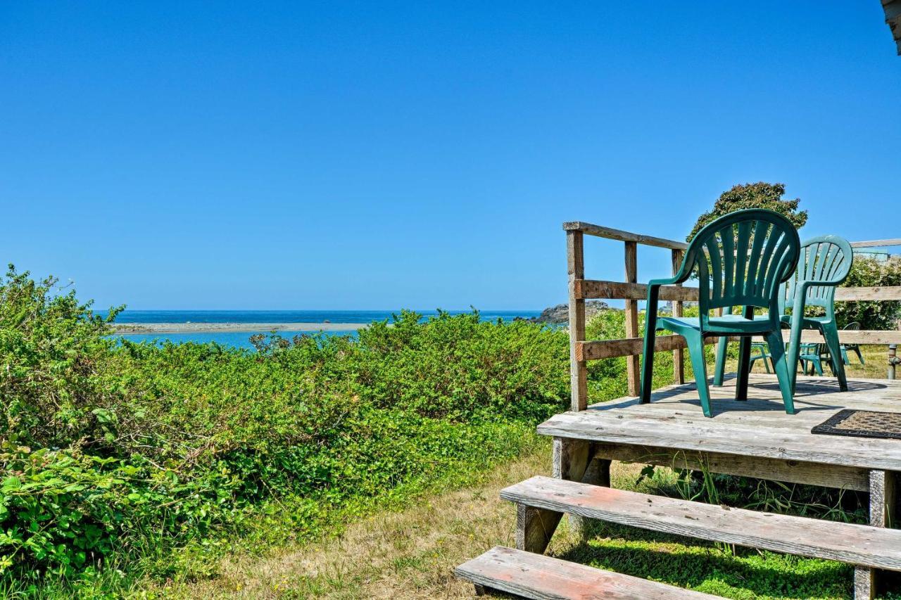 Smith River Vintage Cabin Oceanfront Deck And Views エクステリア 写真